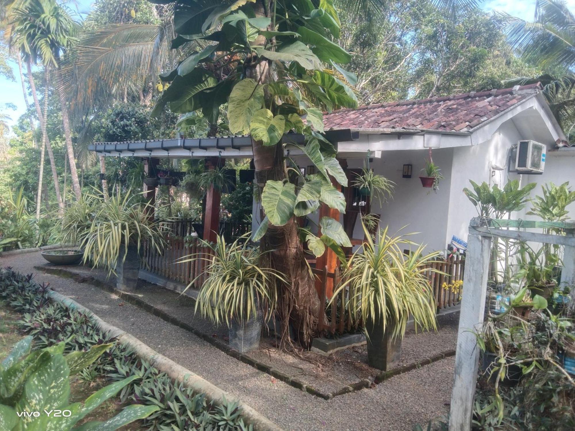 Lovers Green Villa Matara Exterior foto